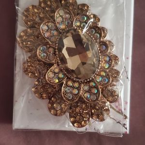 Taupe elegant crystal Vintage brooch